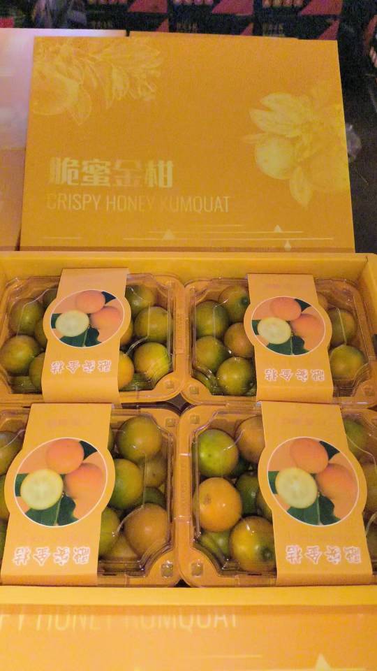 到货【脆密金桔🍊】 巨好吃😋秋—冬必吃甜 配图1