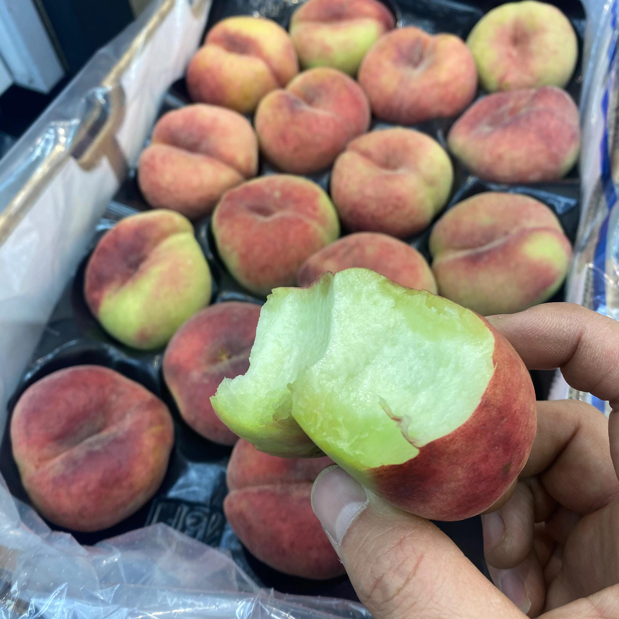 🌈一物一季，一年一期～ 智利毛蟠桃已进入 配图1