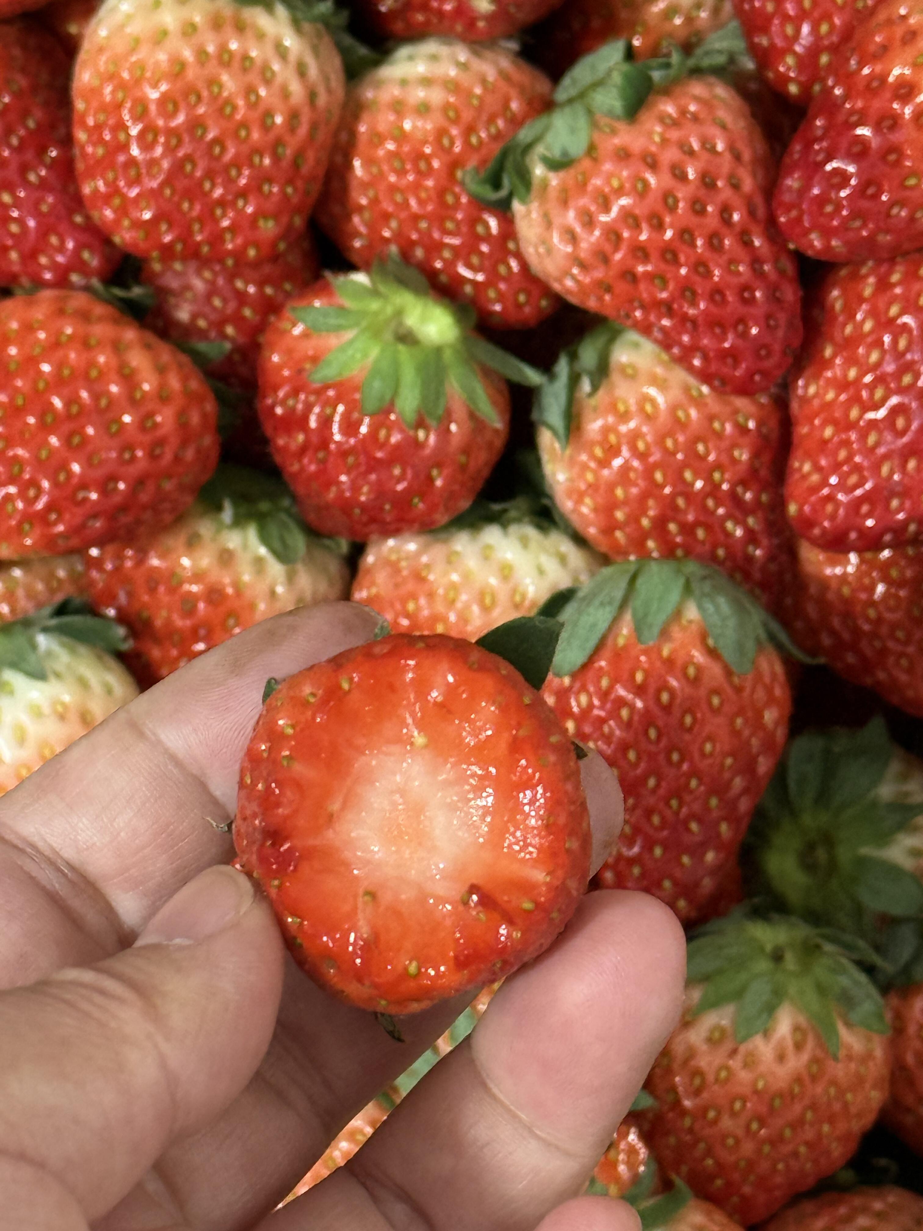🍓 奶油草莓奶香浓郁！ 个头大果肉饱满🥛 配图1