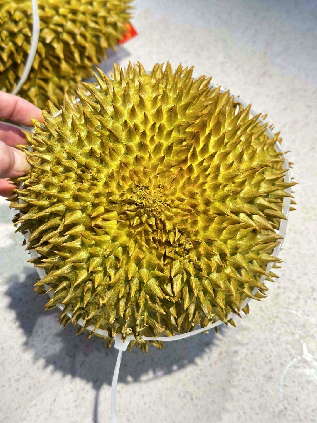 每一颗榴莲都是一份期待🤩 我们能做的，就 配图3