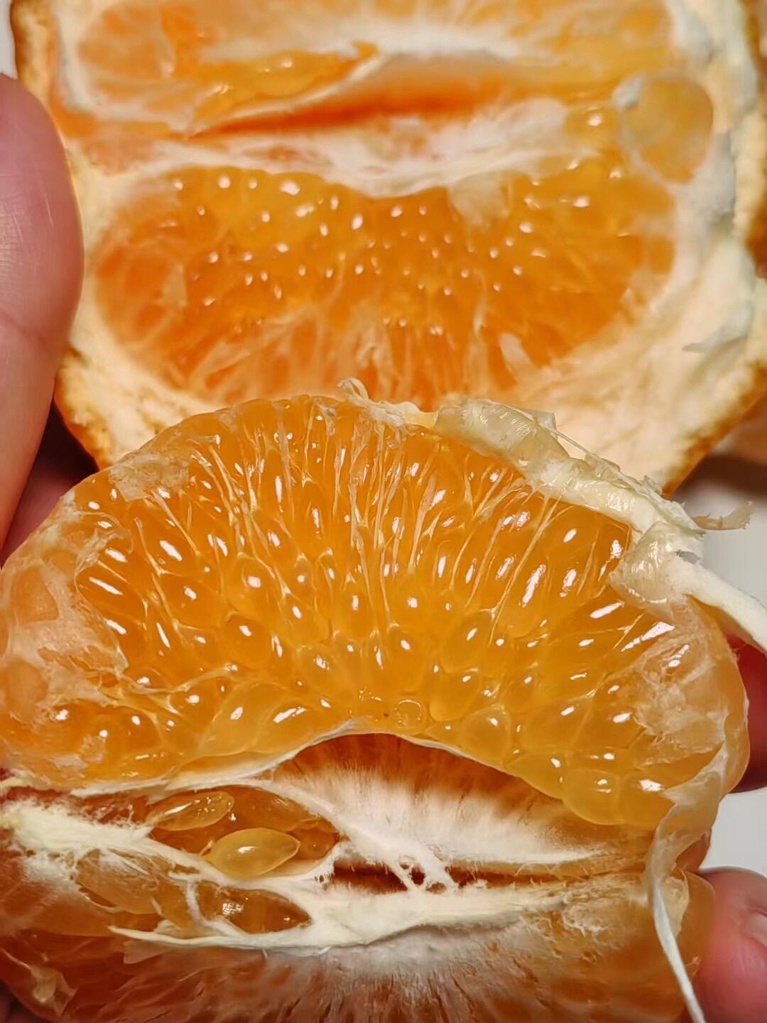 🍊春见耙耙柑爆汁上线！ 外皮薄嫩，果肉软 配图2