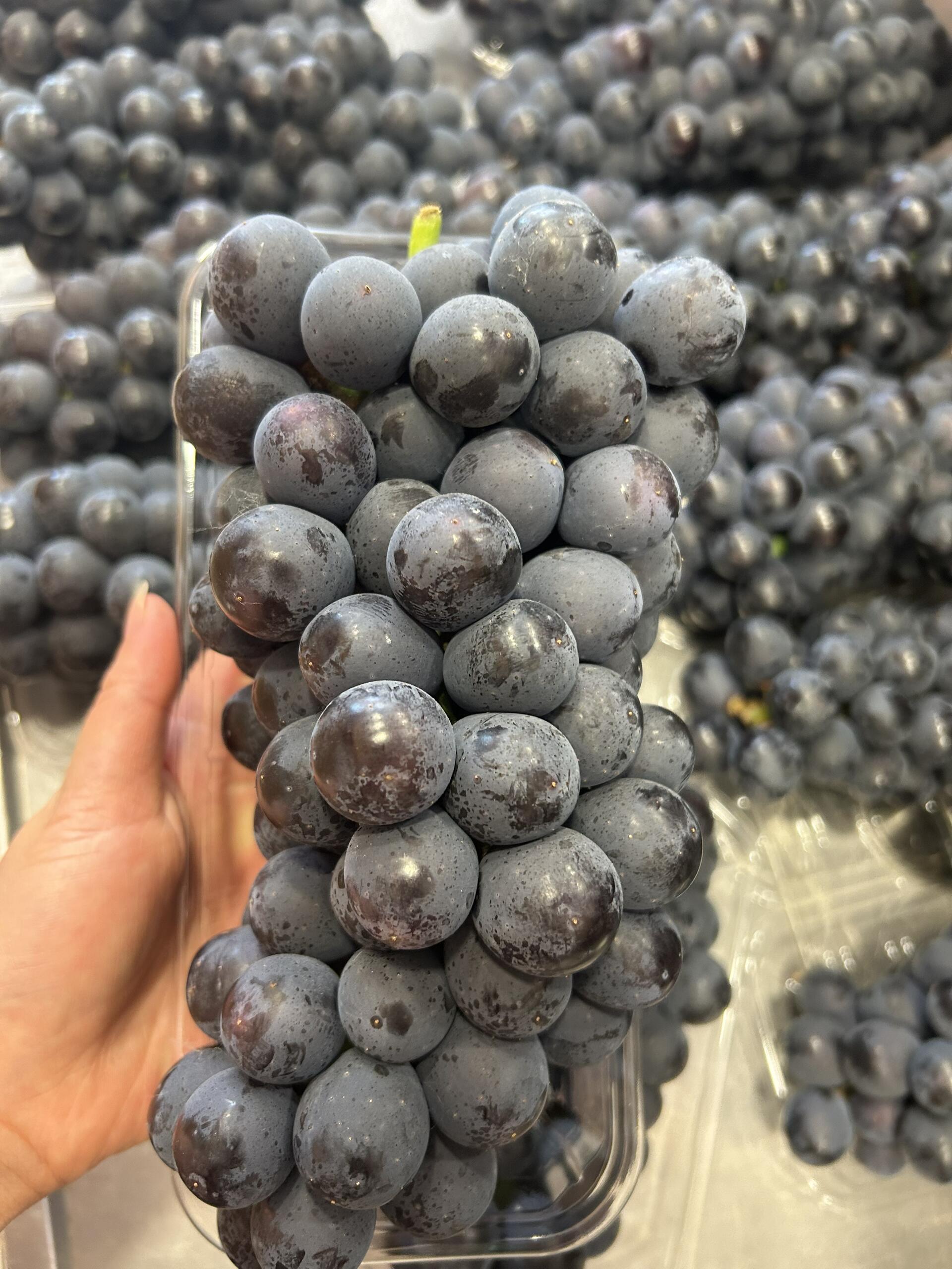 🍇 夏黑葡萄抢鲜上市！ 紫黑发亮像玛瑙🖤 配图1