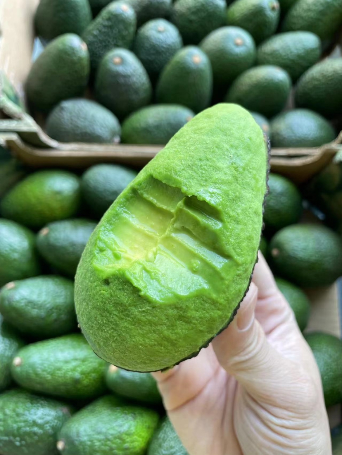 【新鲜牛油果🥑】 最新到货！ 绵密丝滑， 配图2