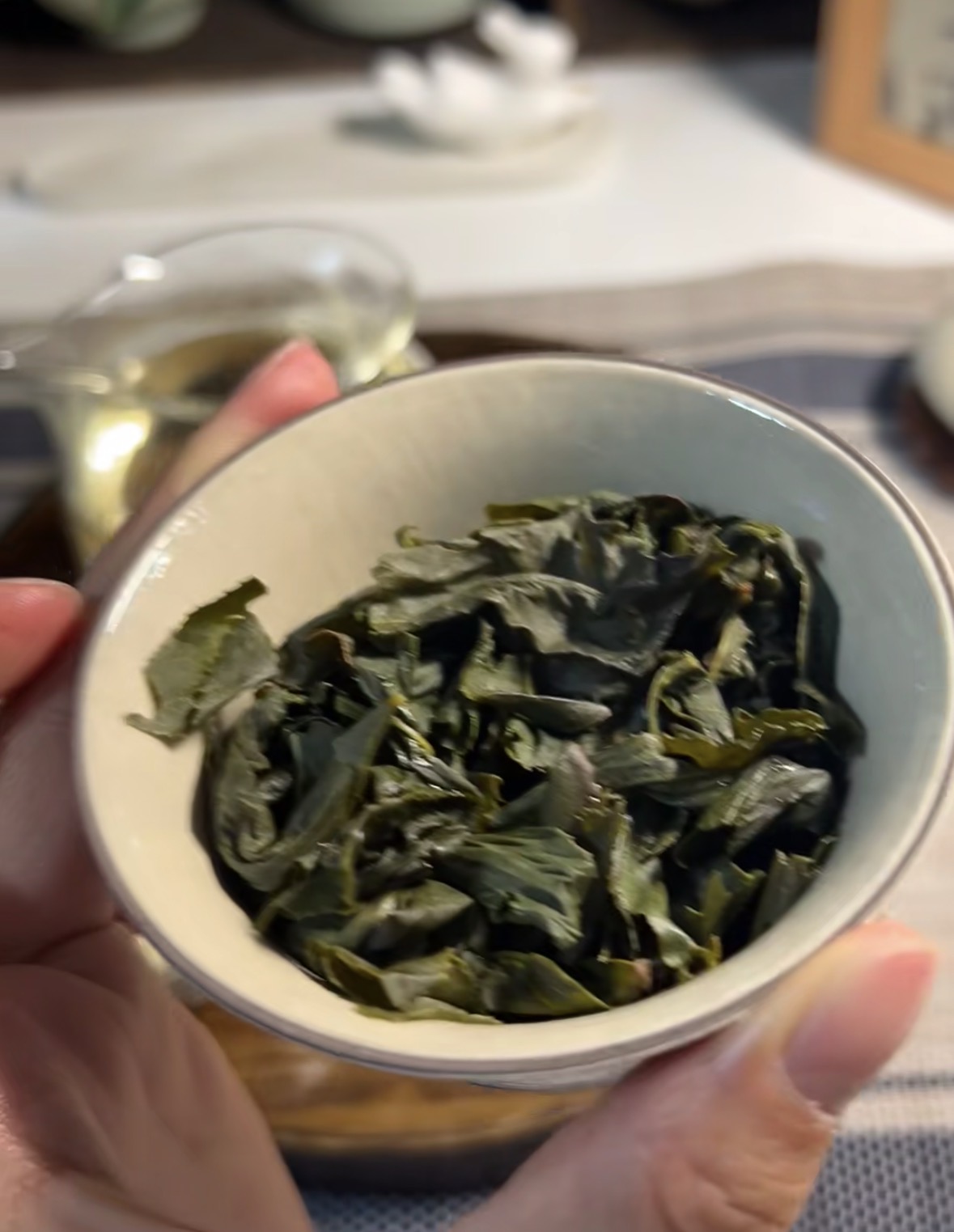 🔥限时福利｜台湾青心乌龙限时特惠 🌟核心 配图1
