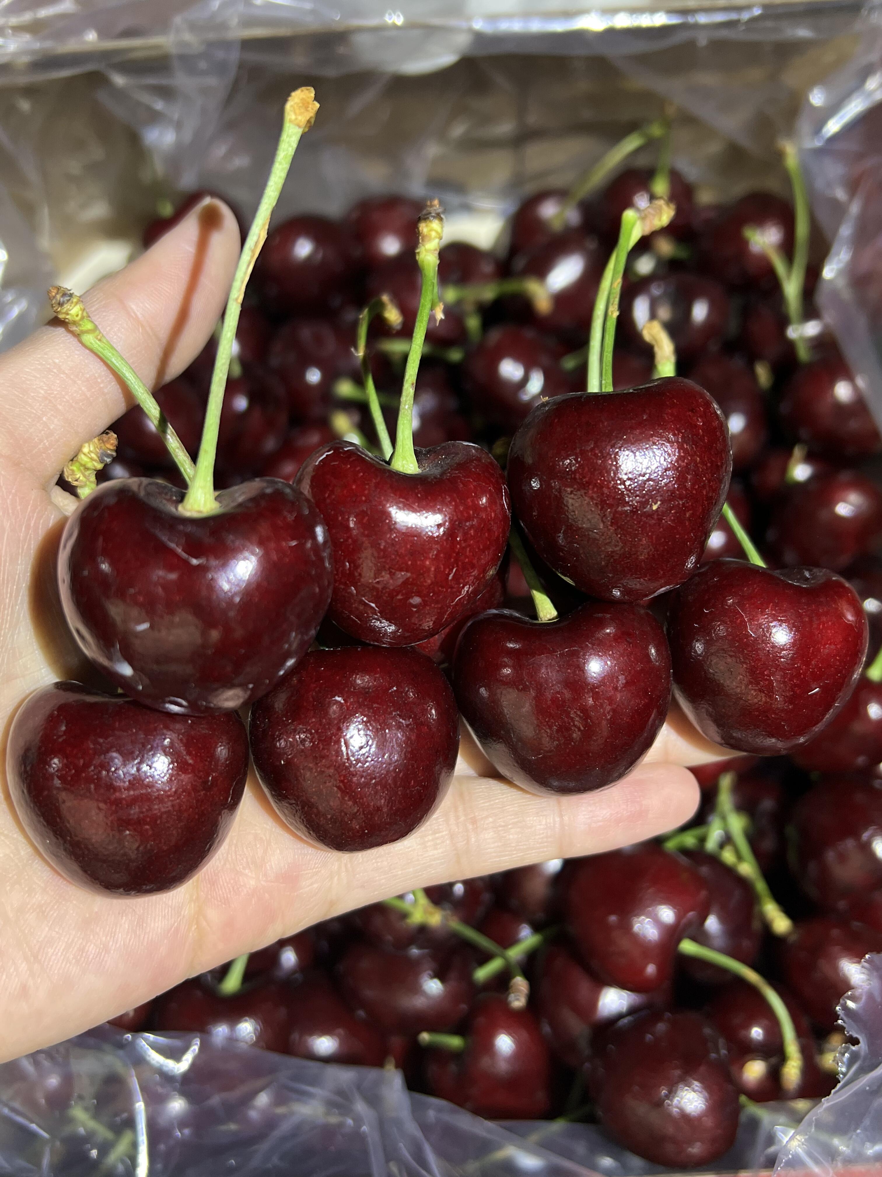 🍒【车厘子】新鲜到店‼️ 颜值天花板～品 配图3
