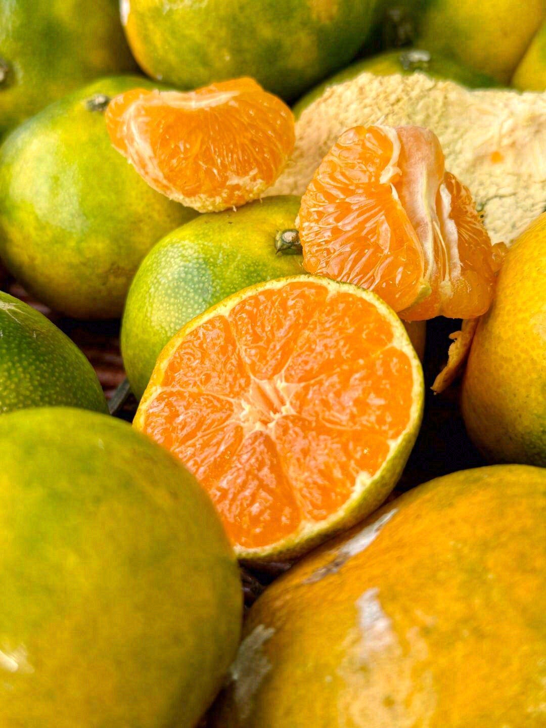 🍊每一个细小的橘子颗粒里，都包裹着满满的 配图2