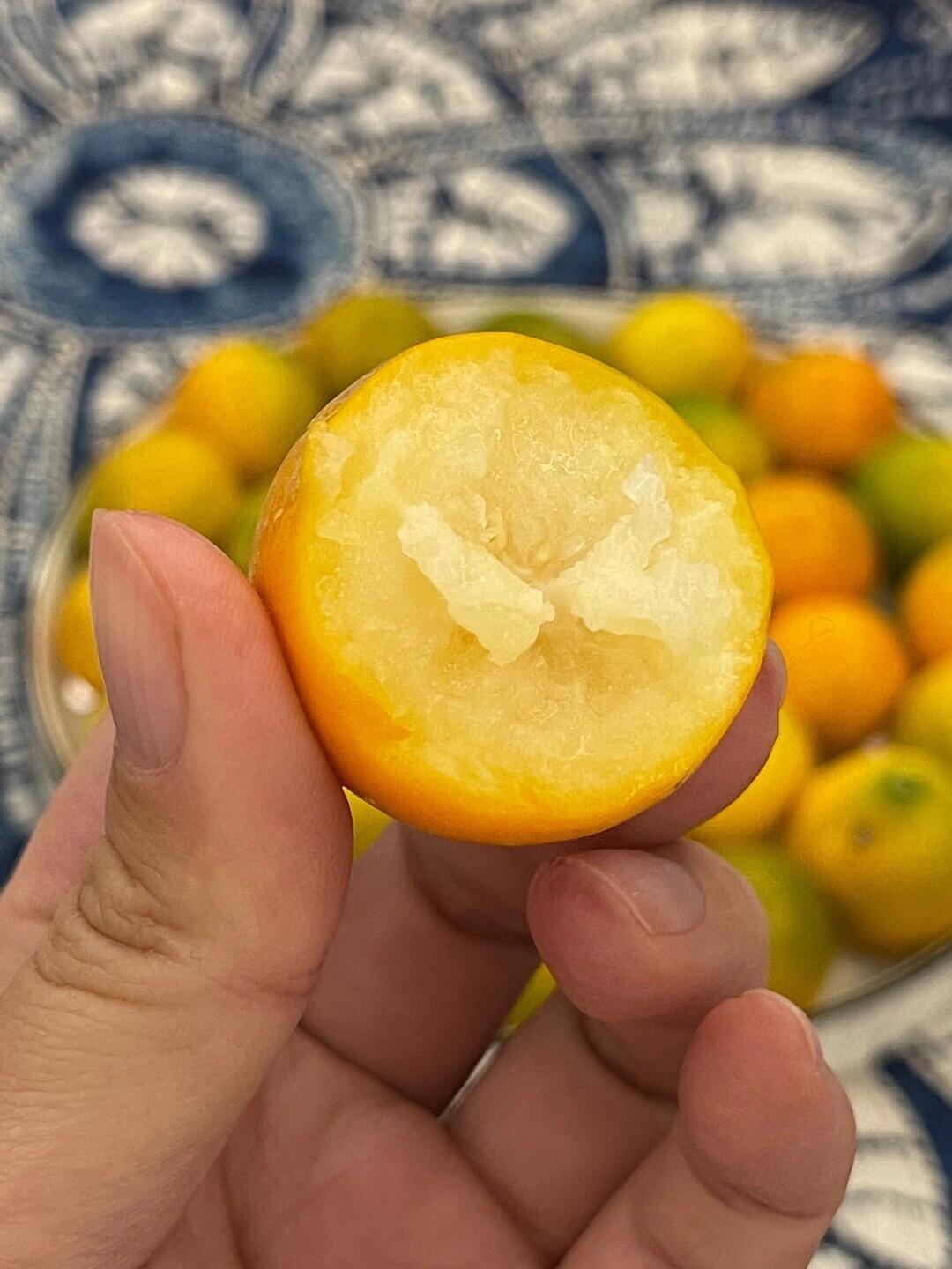 流感高发的季节😷，多吃金桔增加抵抗力💪  配图1