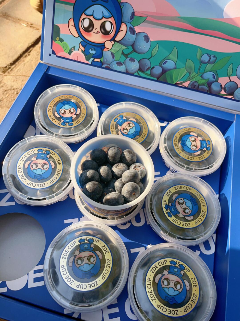 高端客定蓝莓🫐好食鲜果～源于自然😘颗颗甄 配图1