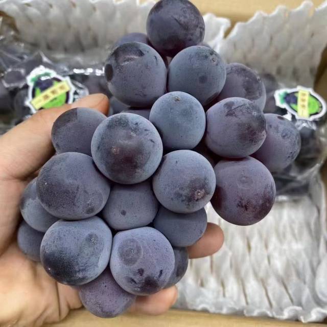 一藤福安巨峰葡萄🍇 夏天的快乐来一串巨峰 配图2