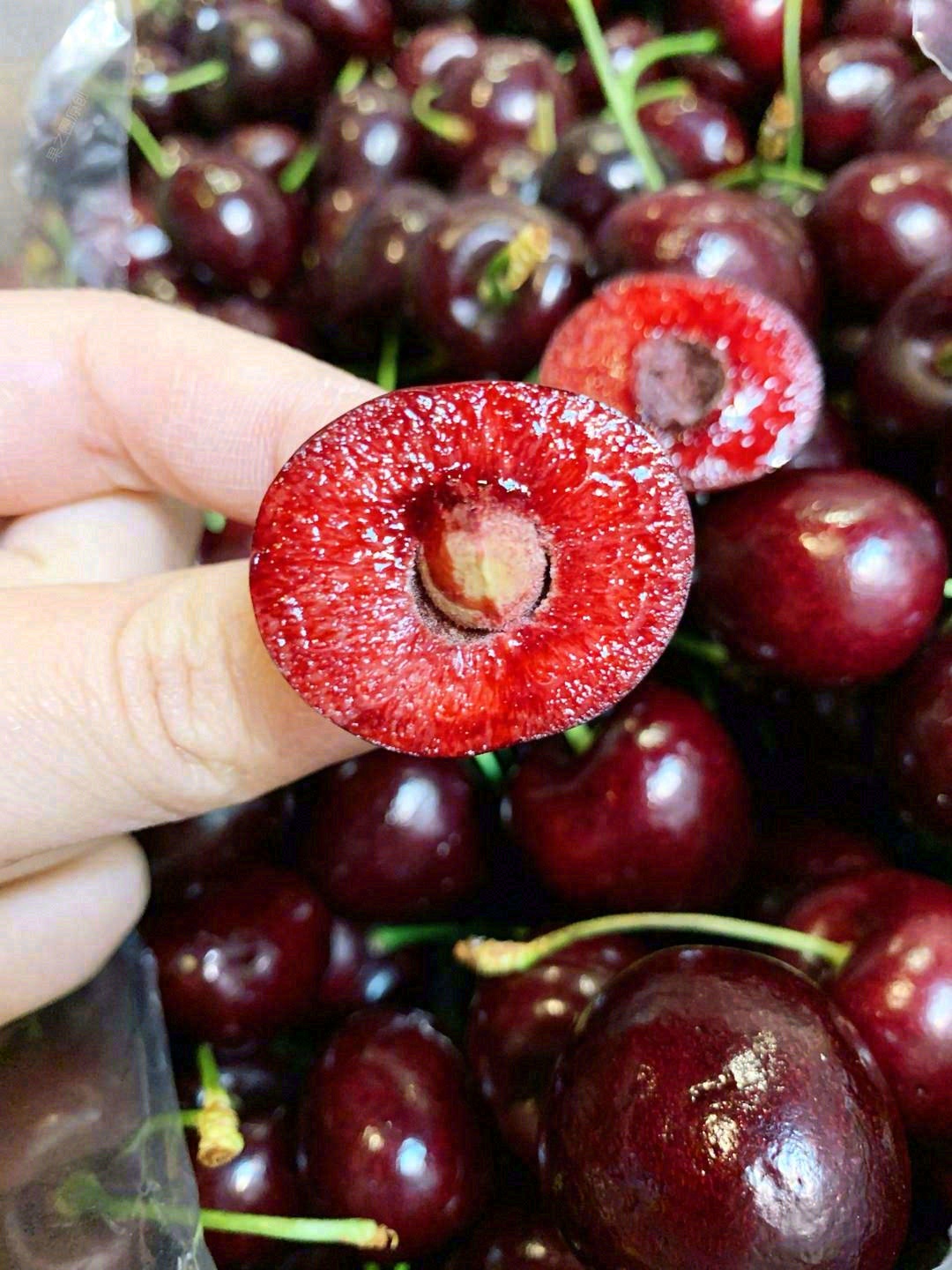 看果柄鲜嫩翠绿🌱 看果体红的发紫🌹 看外 配图1
