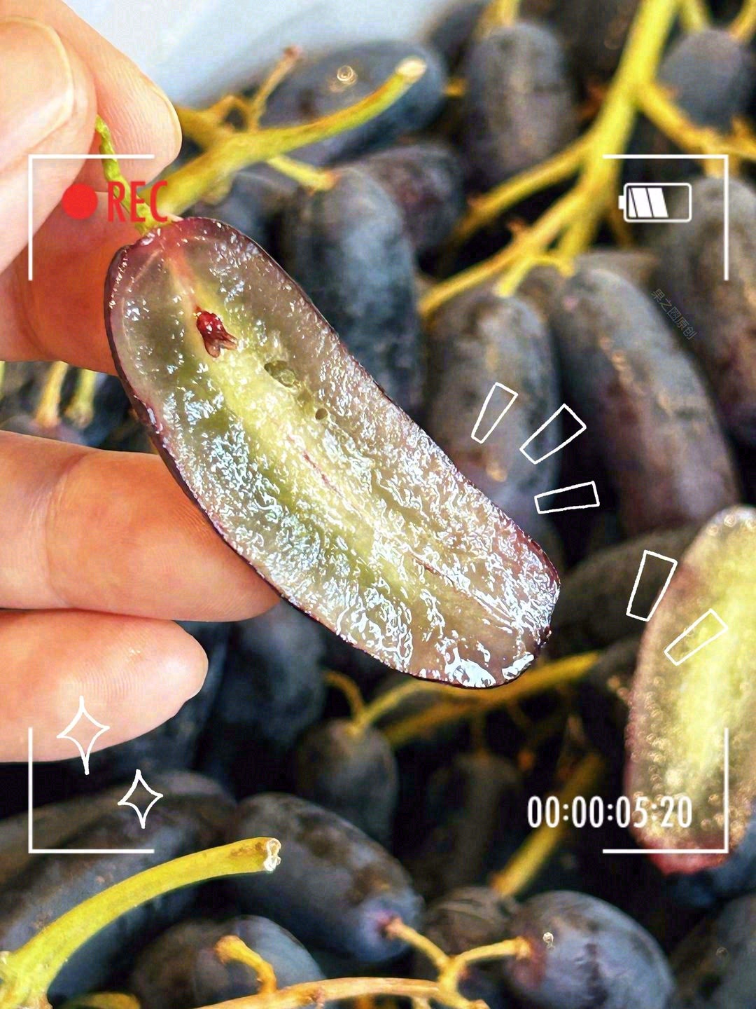 🍉水果摊主的日常：被顾客催更！ 👩🍳顾客 配图3