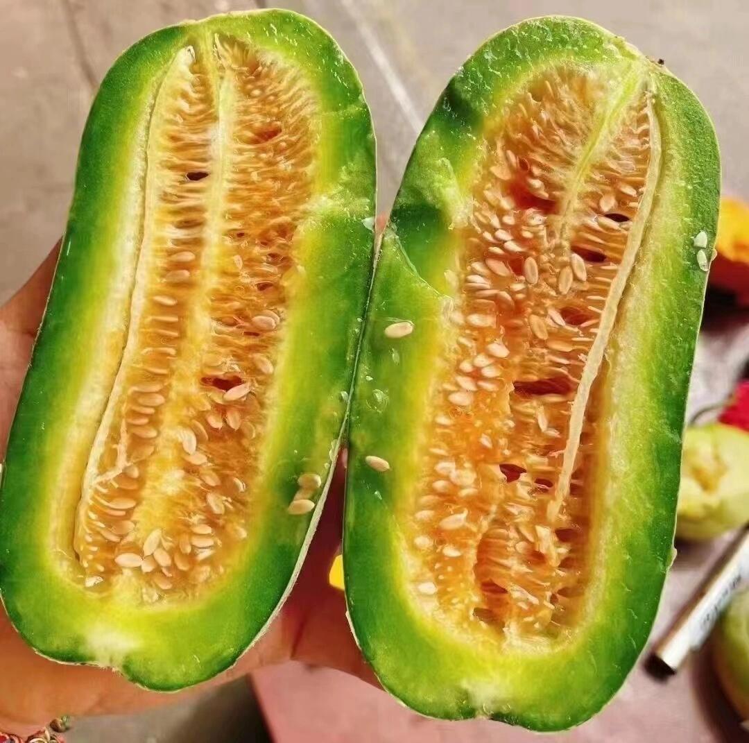 【博洋蜜瓜】🔥🔥闻之香，食之脆，承包了整 配图3
