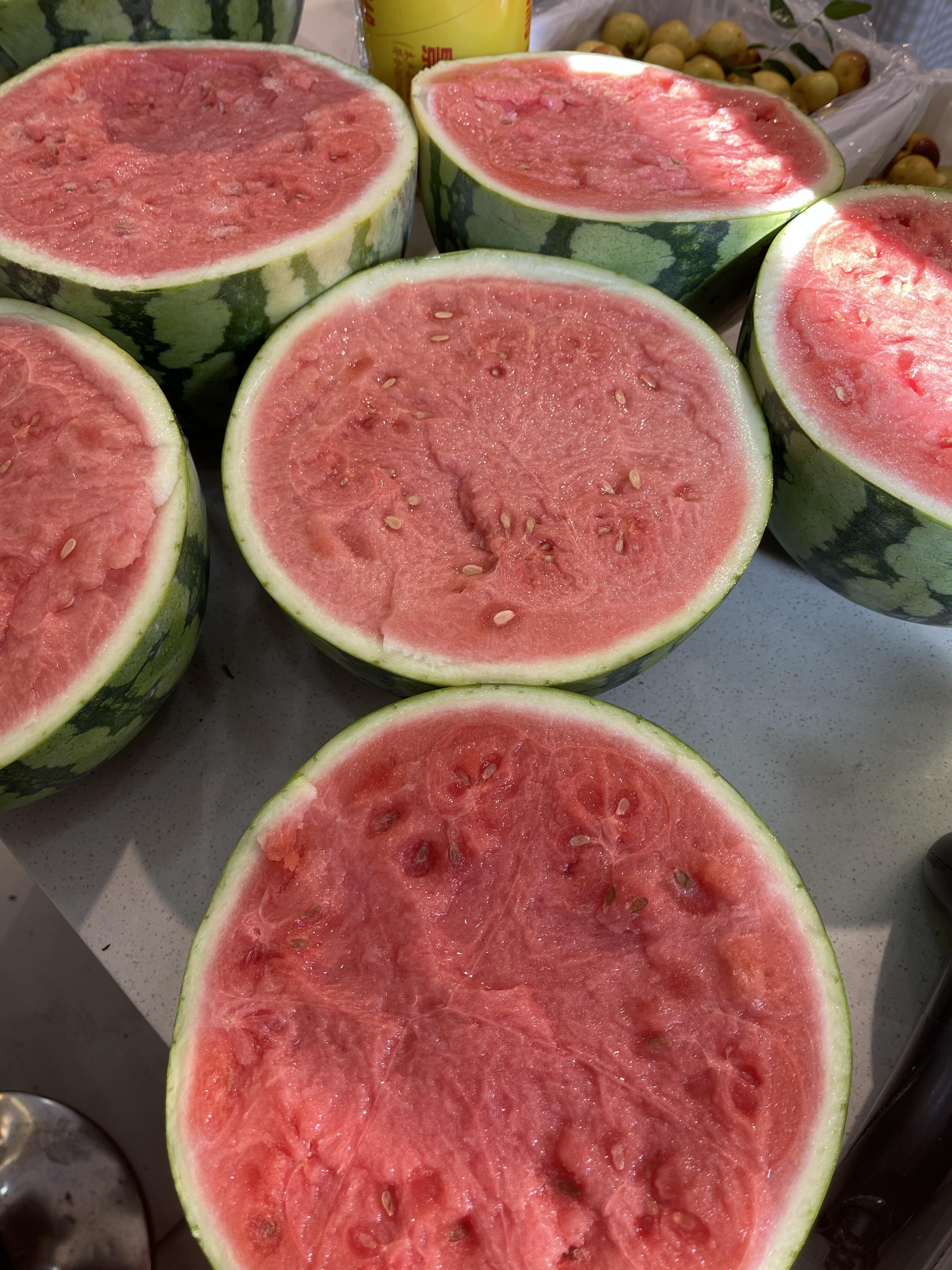 🍉 麒麟西瓜！ 翠绿条纹超好看🎨 一刀下 配图2