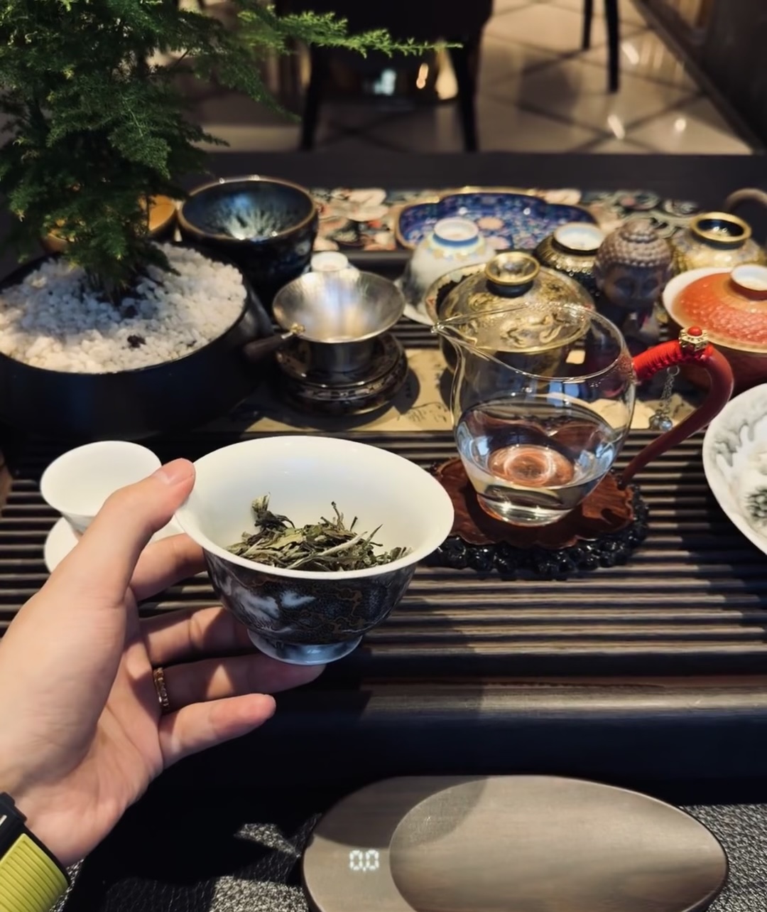 😜宝子们，快来品尝这沁人心脾的茶叶！精选 配图2