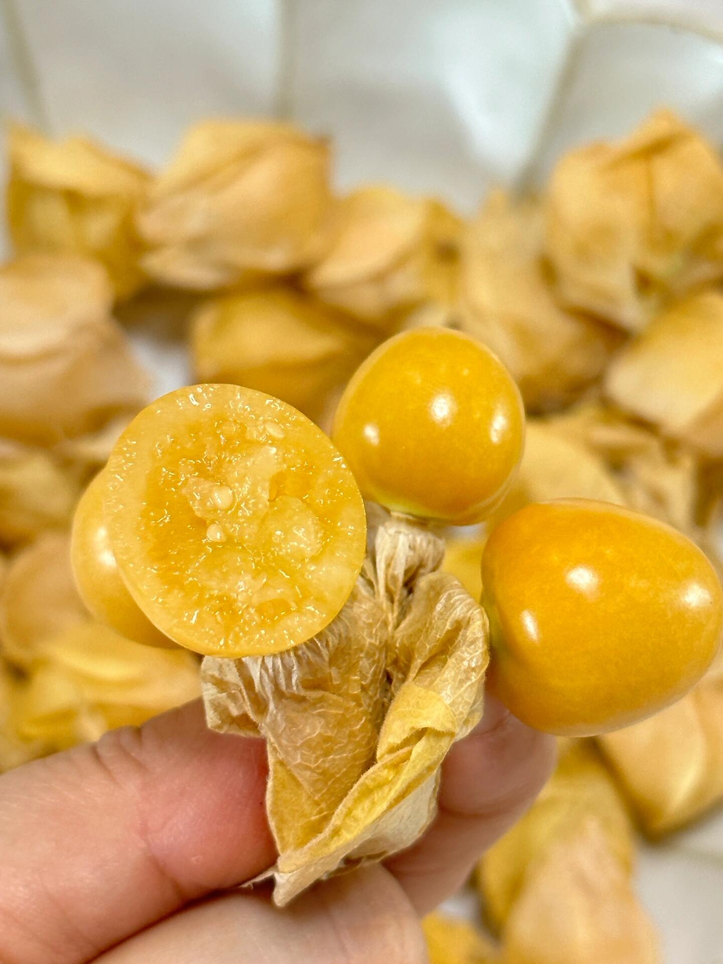 ⚠️👍到货🉐️姑娘果💛 神奇的小金豆儿！ 配图2