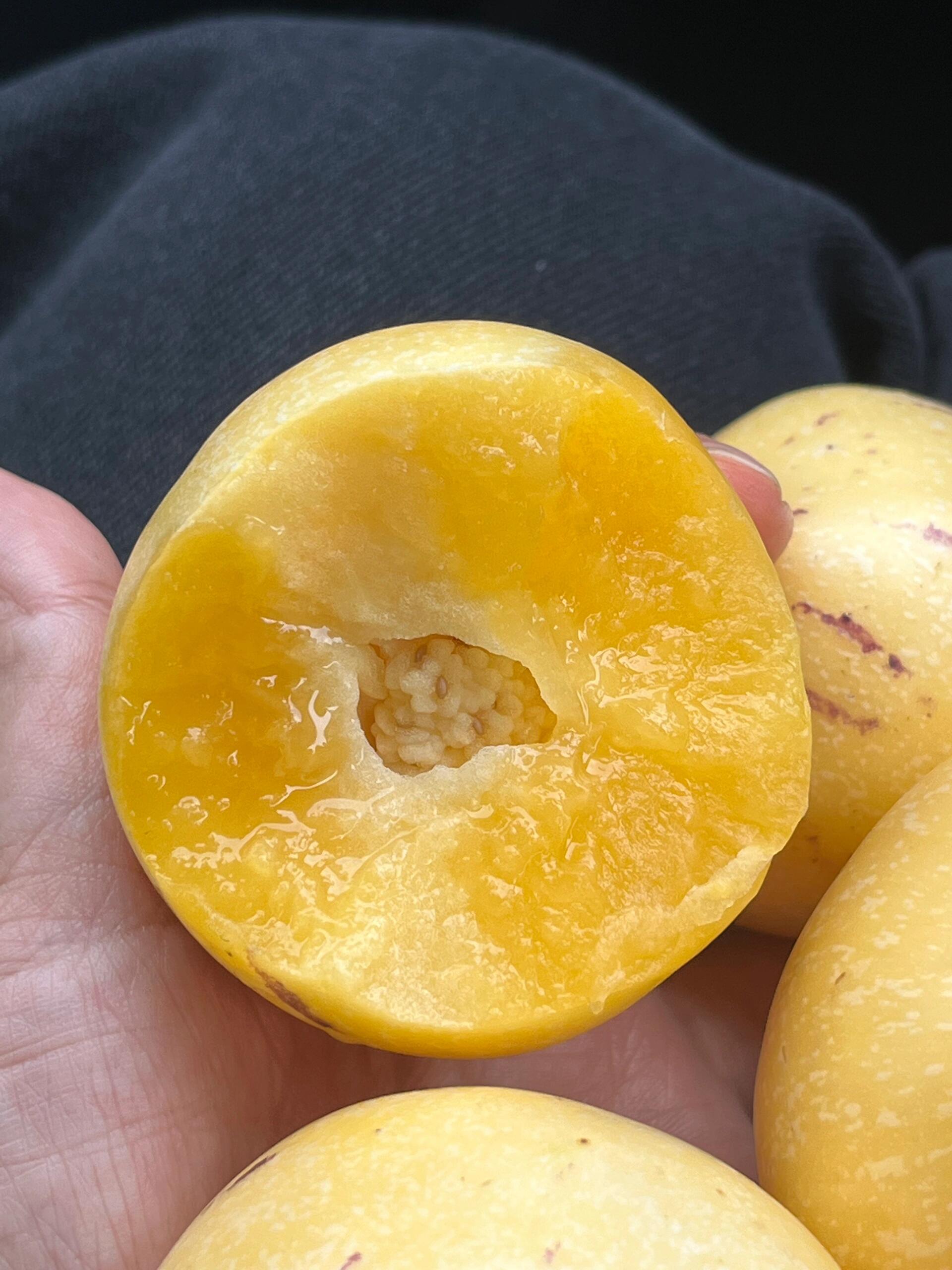 🔆树上熟人参果💛 水果中的“灌汤包”🤤， 配图1