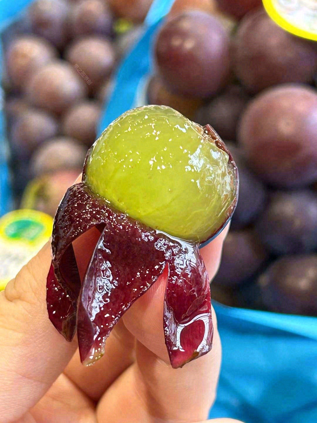 🍇这个夏天你躲不掉的一串葡萄~~ 大如乒 配图1