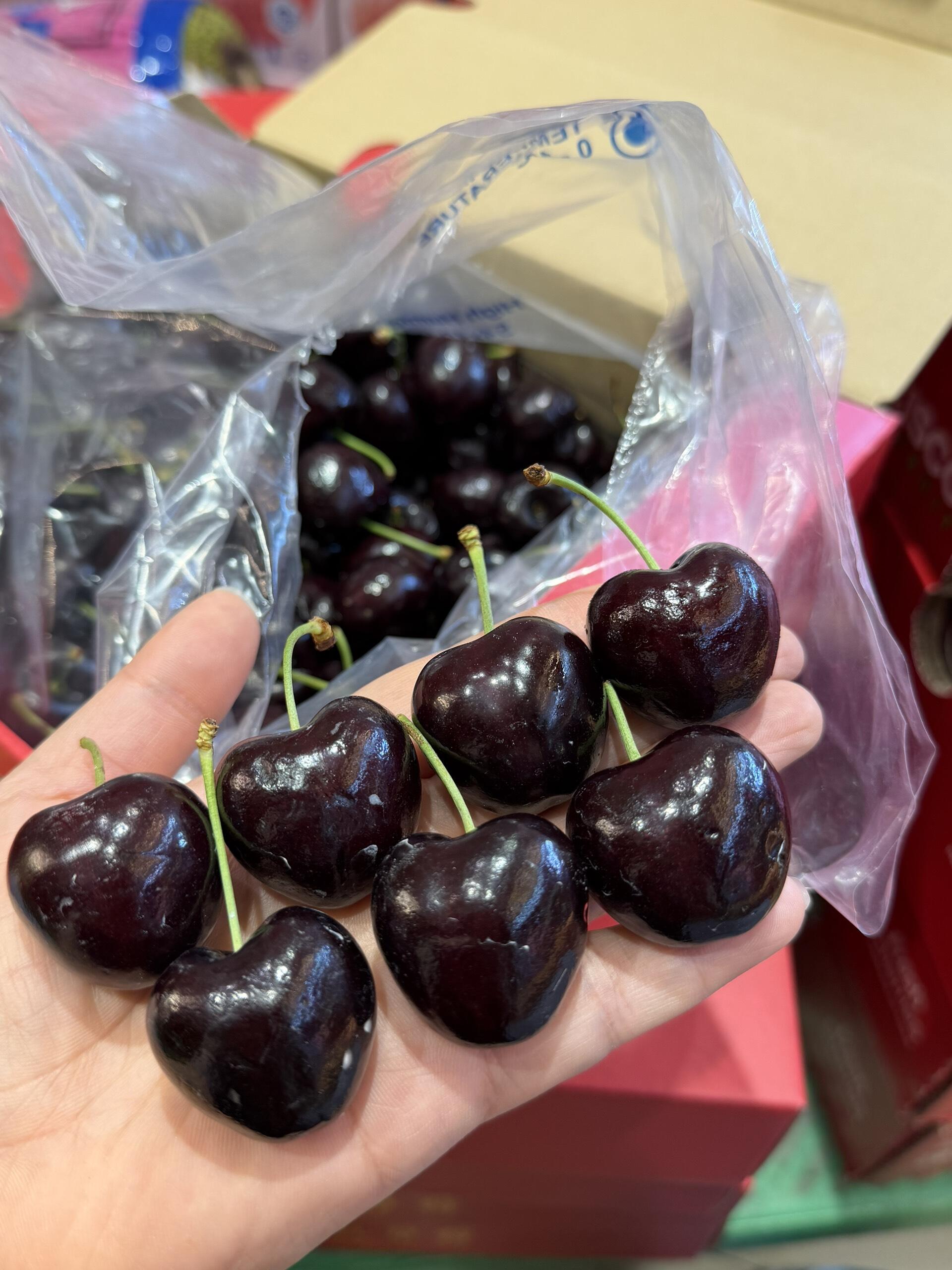 空运桑提娜车厘子除了品质💎，我没什么能给 配图3