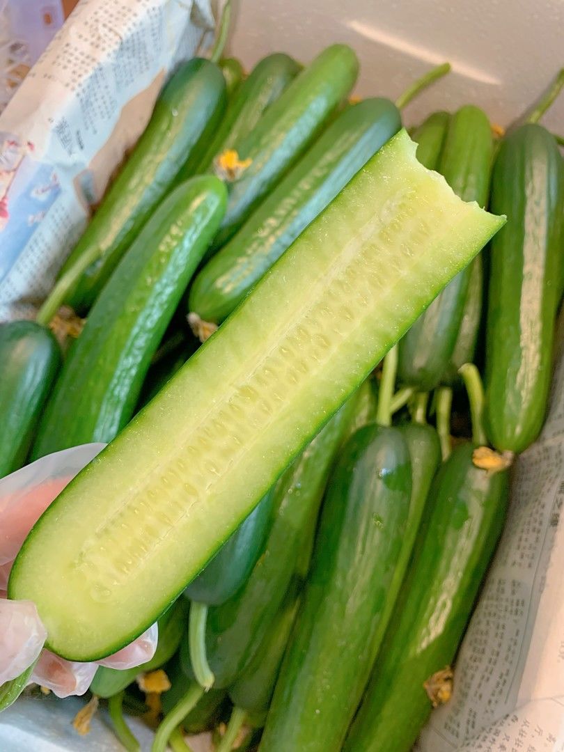 在冬天里贩卖夏天也是独一份咯！ 🥒清爽的 配图2
