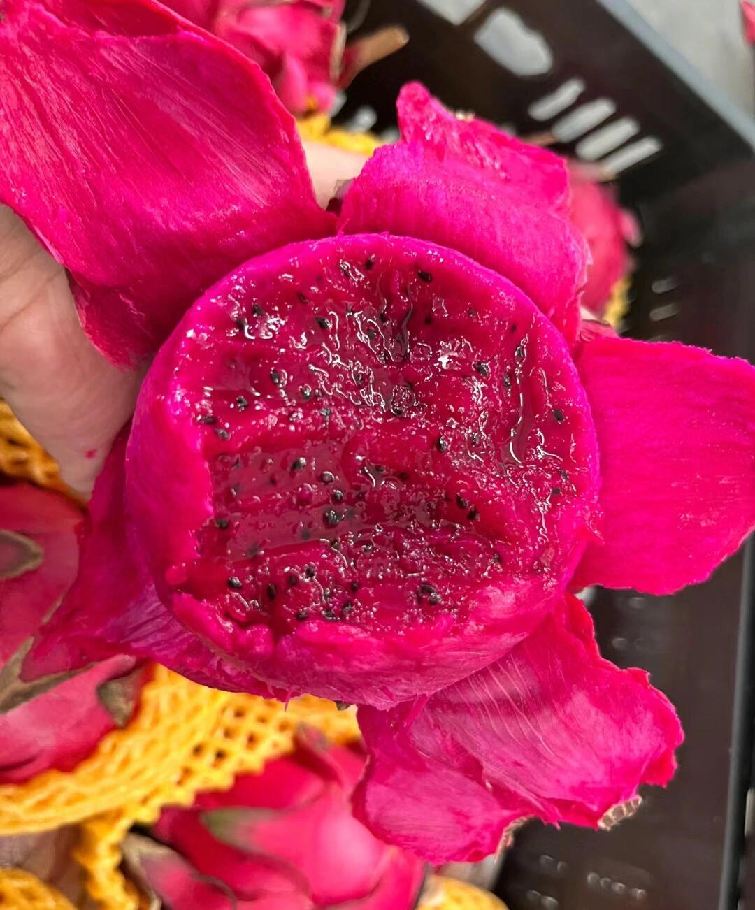午间福利到❤️‍🔥📣 来个红心火龙果清清 配图1