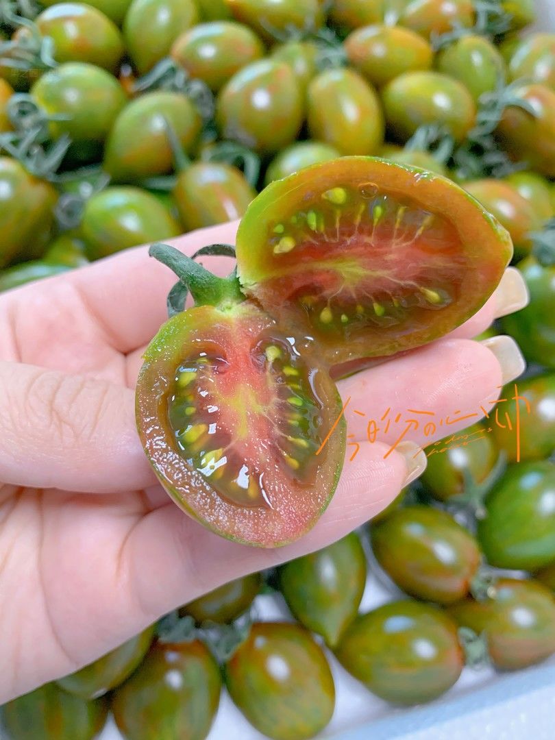 浓缩的都是精华💎 迷彩小番茄🍅，小小的身 配图2