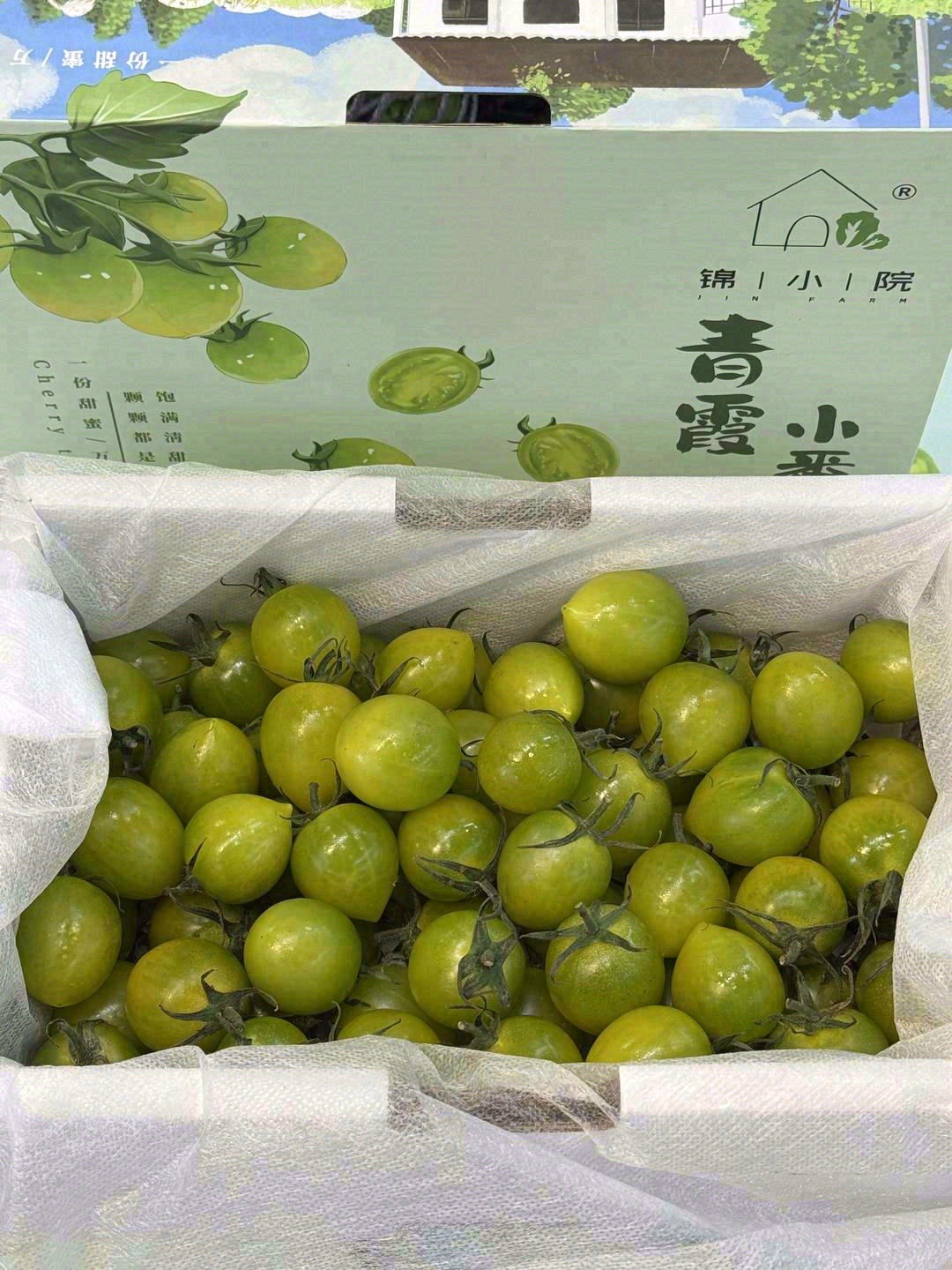 💚因为皮薄，所以小小一颗番茄，基本都是满 配图1