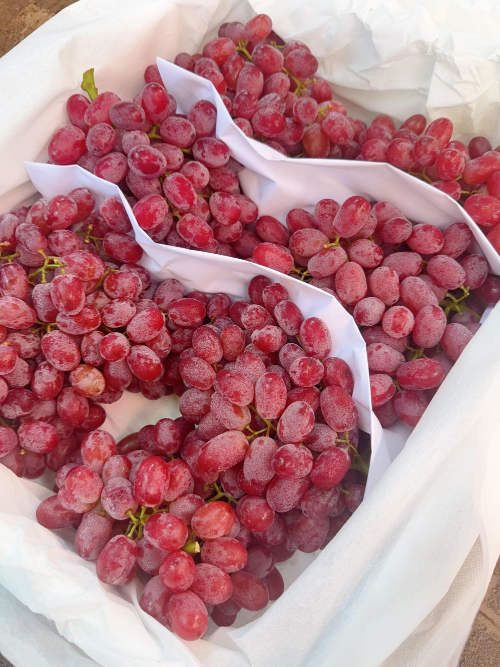 🍇无籽红提突出无籽红提无需吐籽的便捷性， 配图3