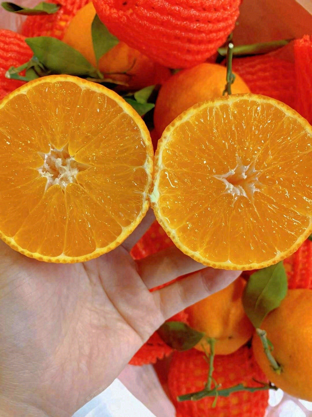 🍊爱媛橙清甜爆汁 果皮薄易剥，吃着不费劲 配图2