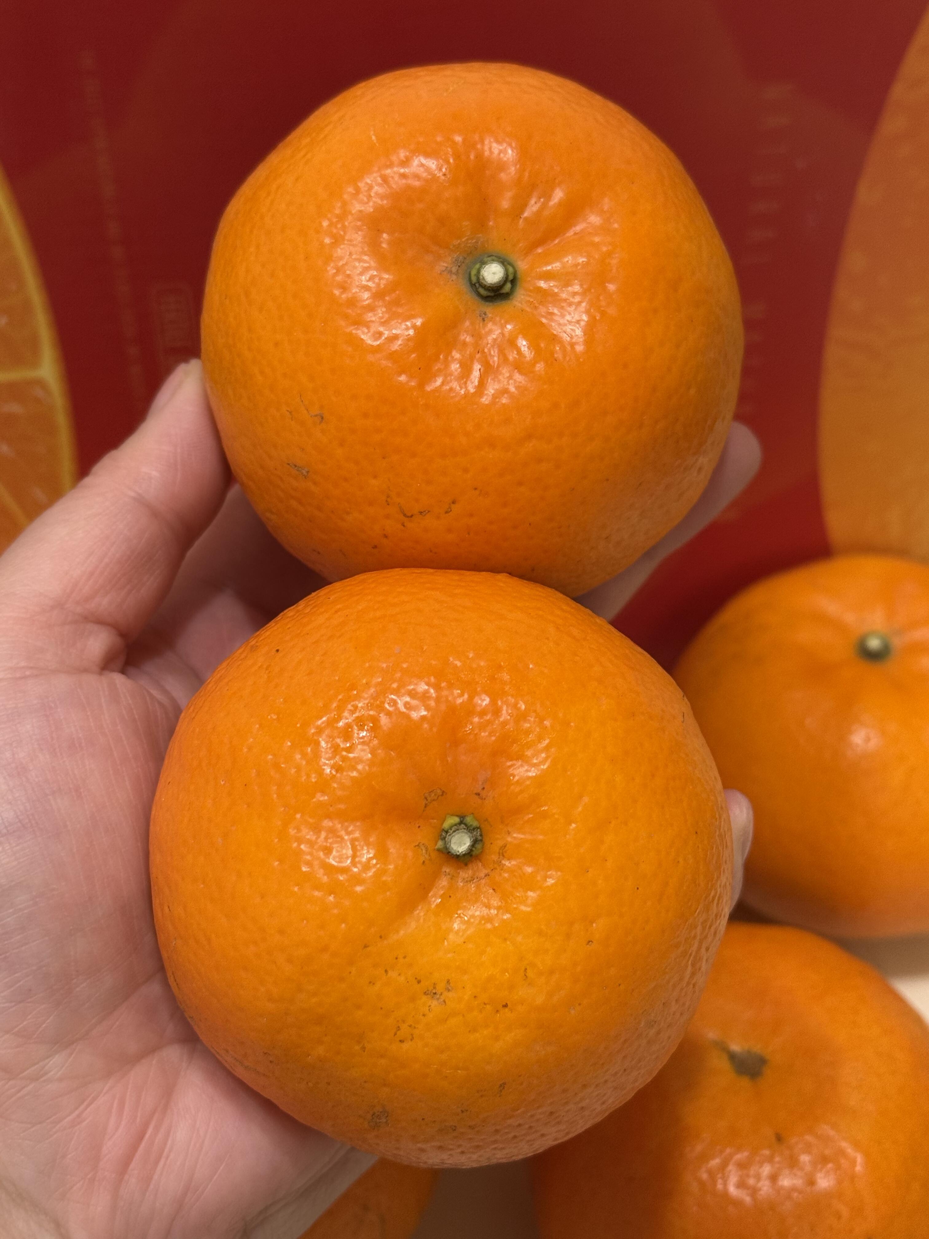 🙋超多回头客的沃柑🍊 阳光、温度、土壤、 配图3