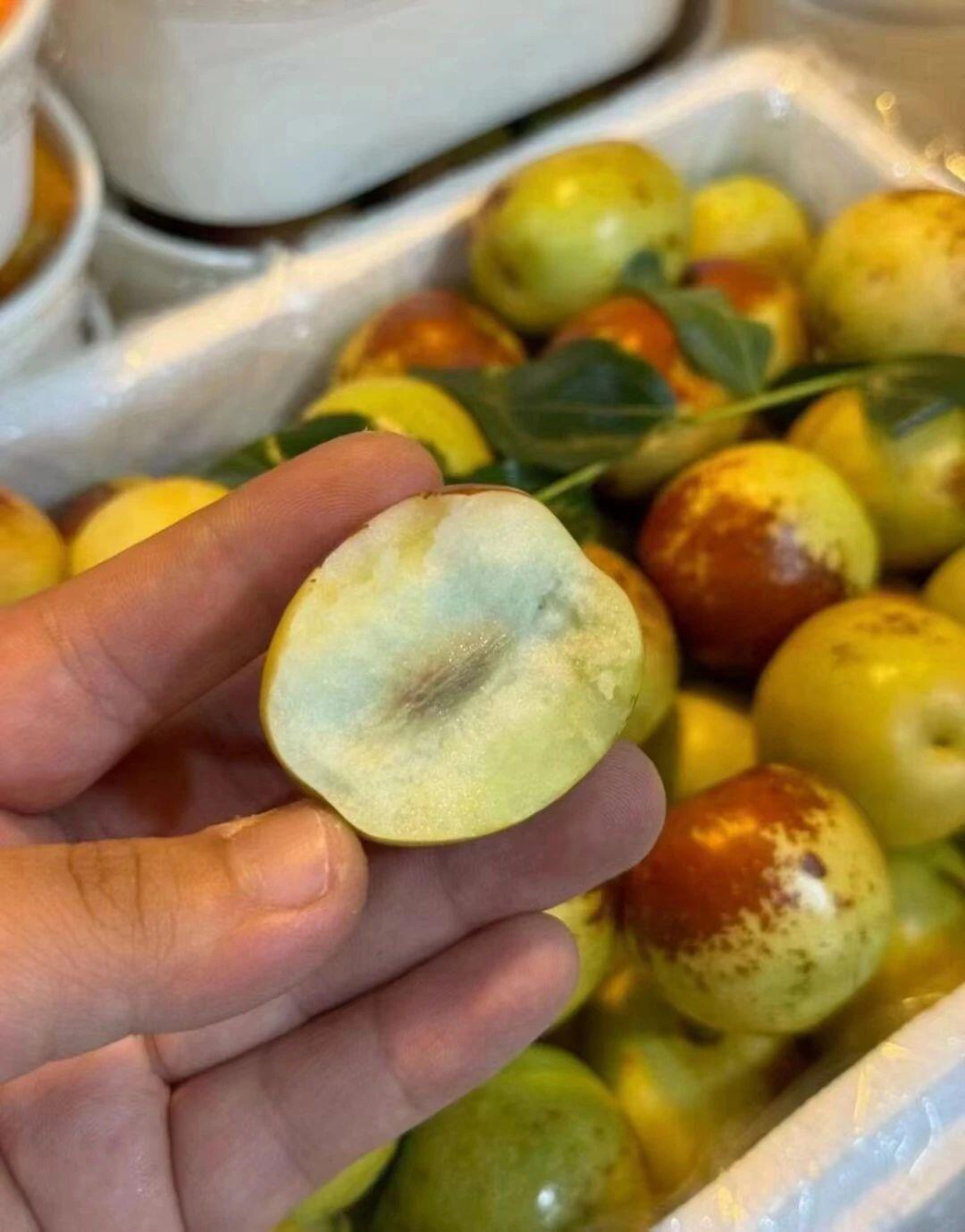 ✨大荔冬枣来报恩啦！！💥 青里透红的小灯 配图2
