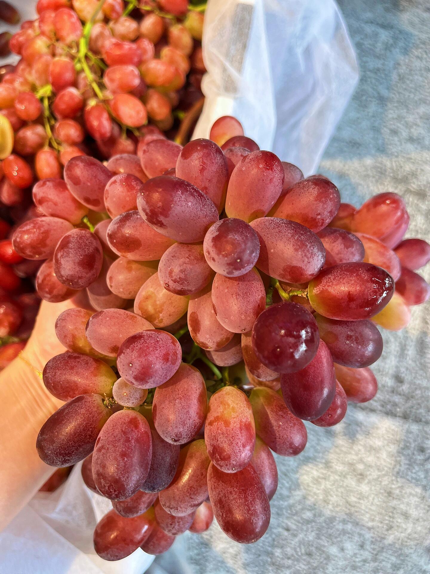 无籽红提🍇 🌈新鲜到极致~果霜完美💯 🌈 配图3