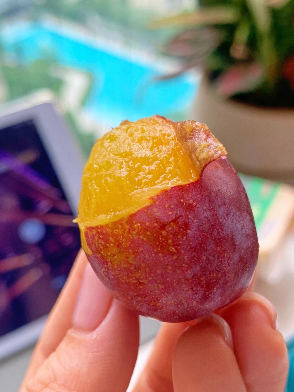 新疆很远，西梅很甜！ 🍭又甜又爆汁！🍹西 配图1