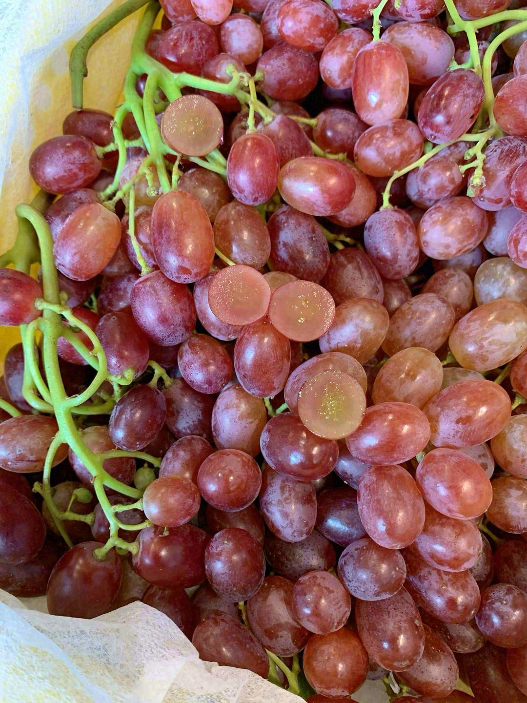 🍇克伦生红提，皮薄无核，个头如拇指般大👍 配图3