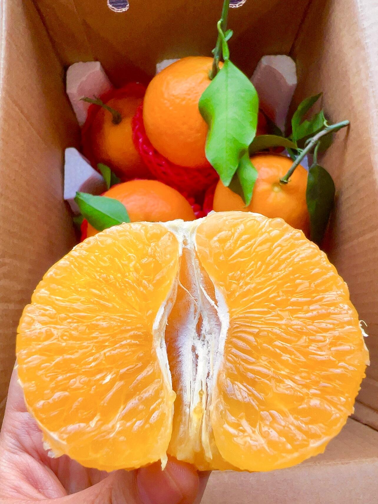 🍊爱媛果冻橙 一款听起来很名媛的水果～果 配图1
