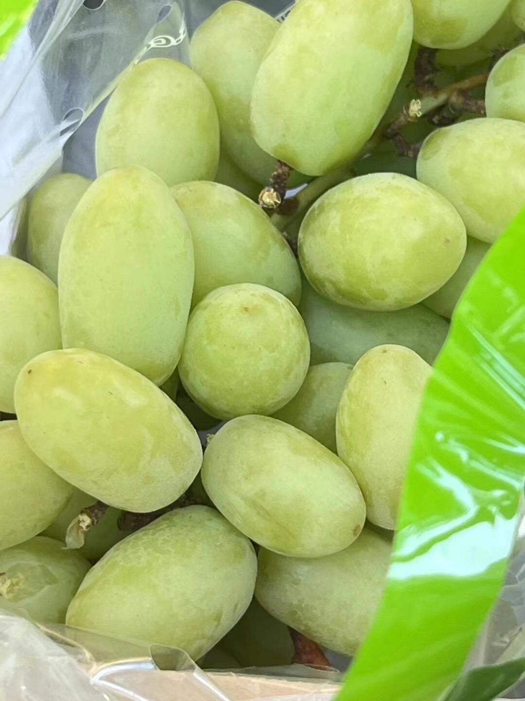 超脆青提💚秘鲁🇿🇦青提～ 新货到！脆爽爆 配图1