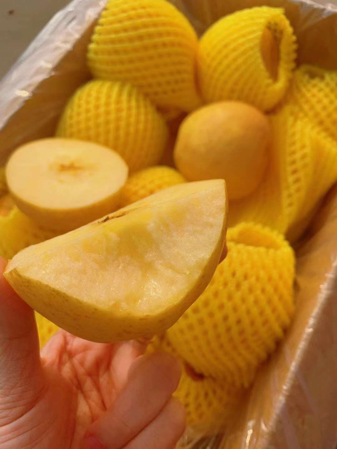 《黄金维纳斯苹果🍎》 维纳斯苹果：“锈” 配图1