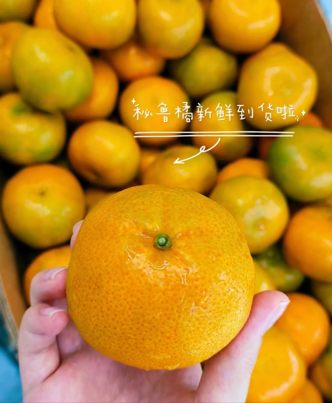 有一种浪漫，是秘鲁橘味儿的哦😍 皮薄，无 配图2