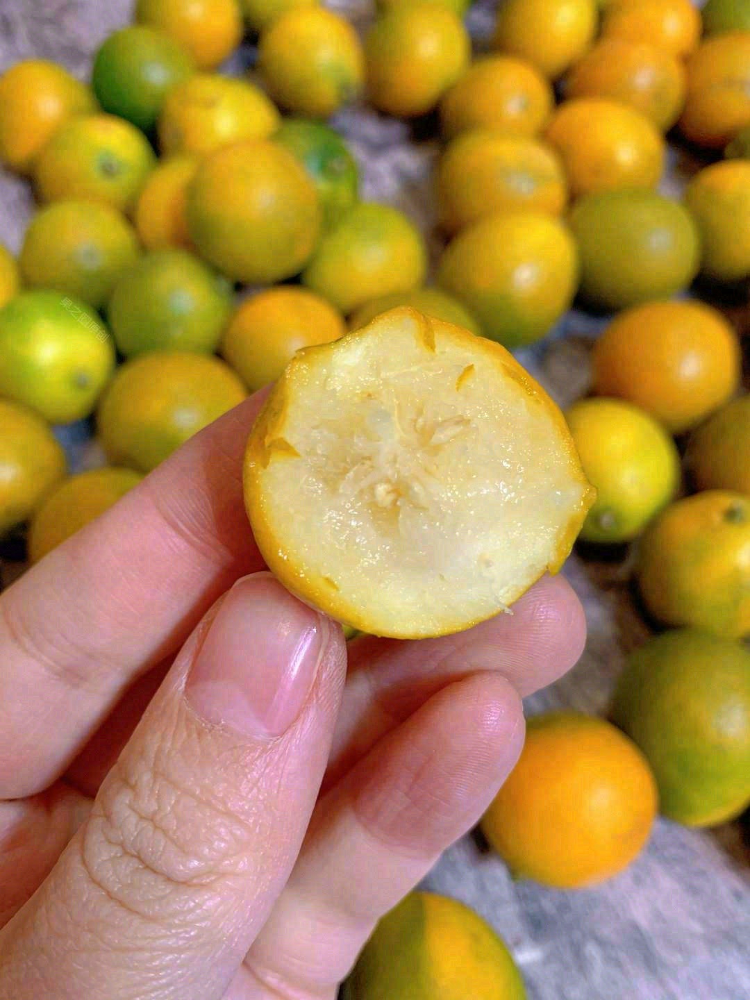 🍊融安金桔吃起来纯甜不酸，桔香浓郁，连皮 配图1