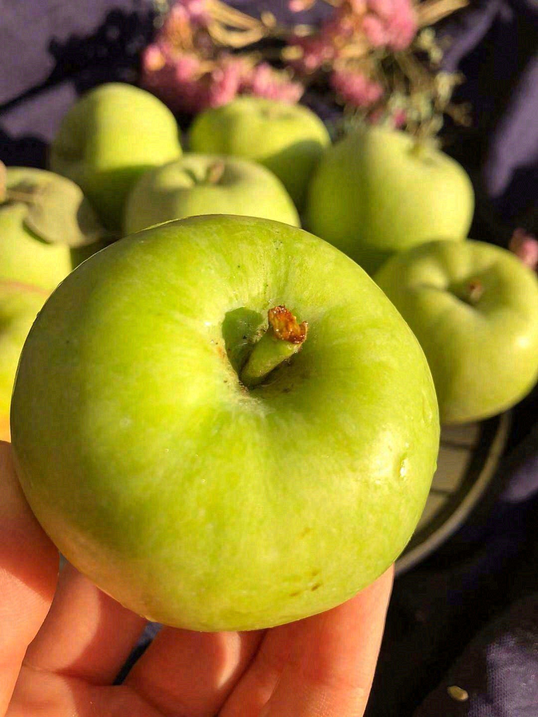 🍏清甜先化在舌尖蔓延至一丝微酸，再由酸回 配图3