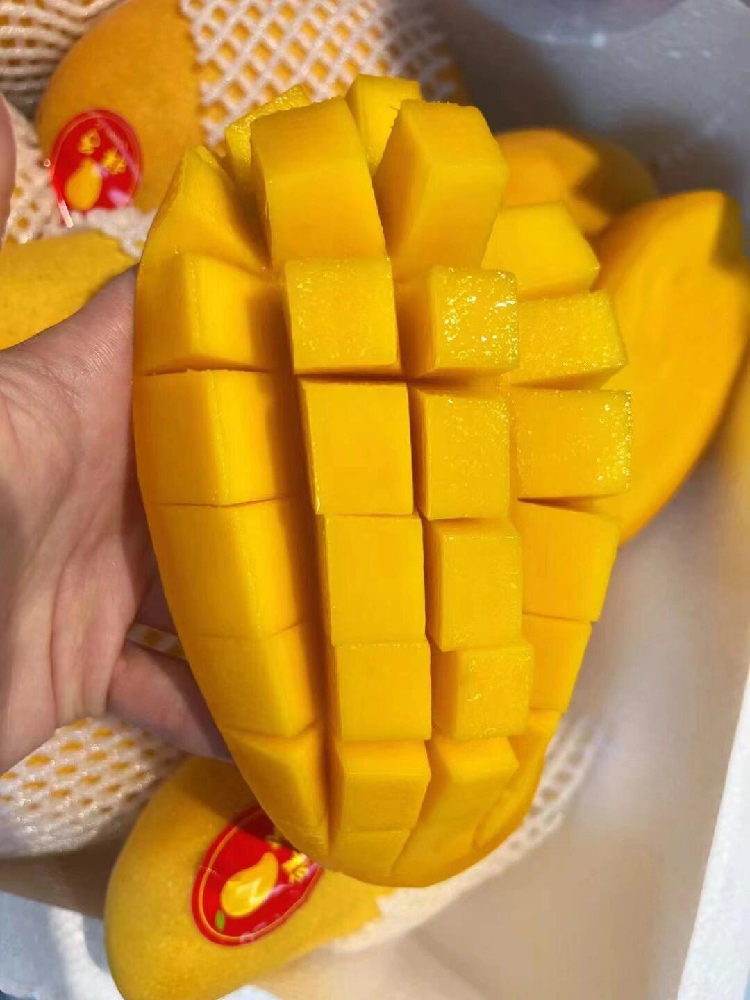 水仙芒🥭 继续到新🔥 全是胖嘟嘟的大果😍 配图2
