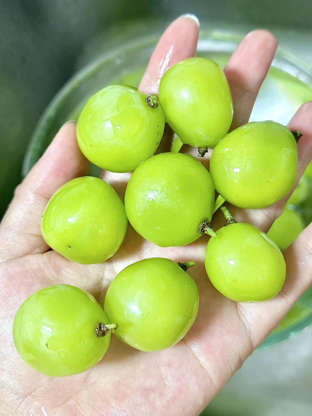 🍇 阳光玫瑰！ 打开就有淡淡香味 🍇✨  配图1