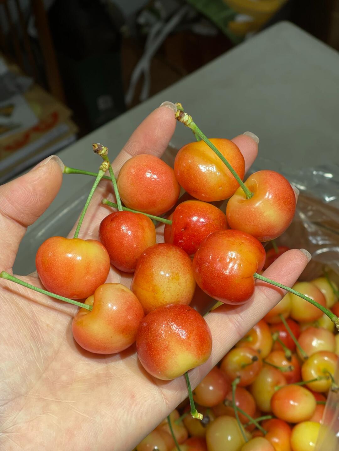 黄车厘子🍒 熟悉的感觉回来了 极品黄车🍒 配图2