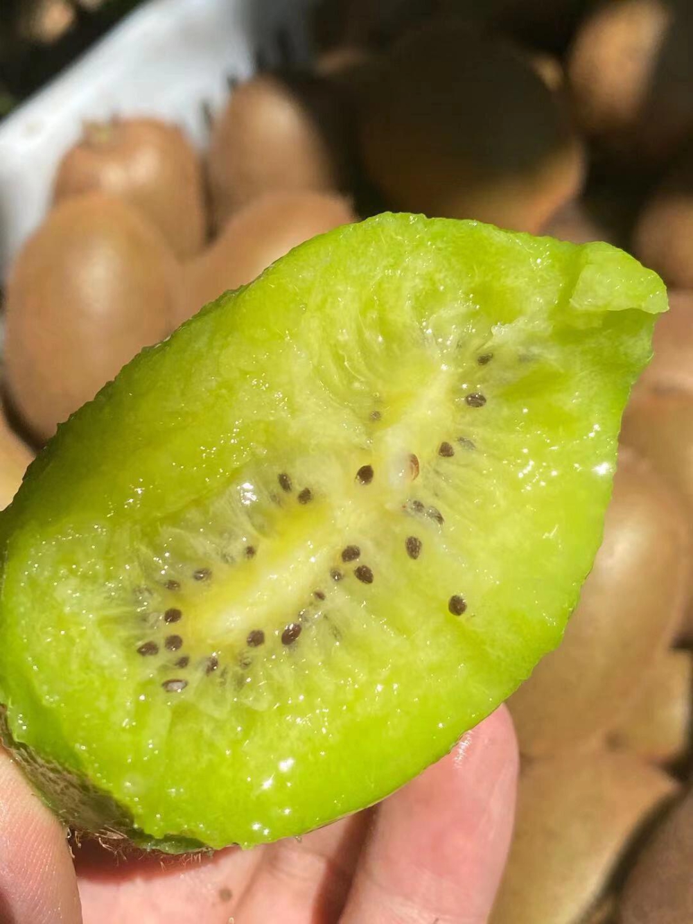 🥝此刻只想来颗猕猴桃必须是水水的甜甜的🍭 配图2