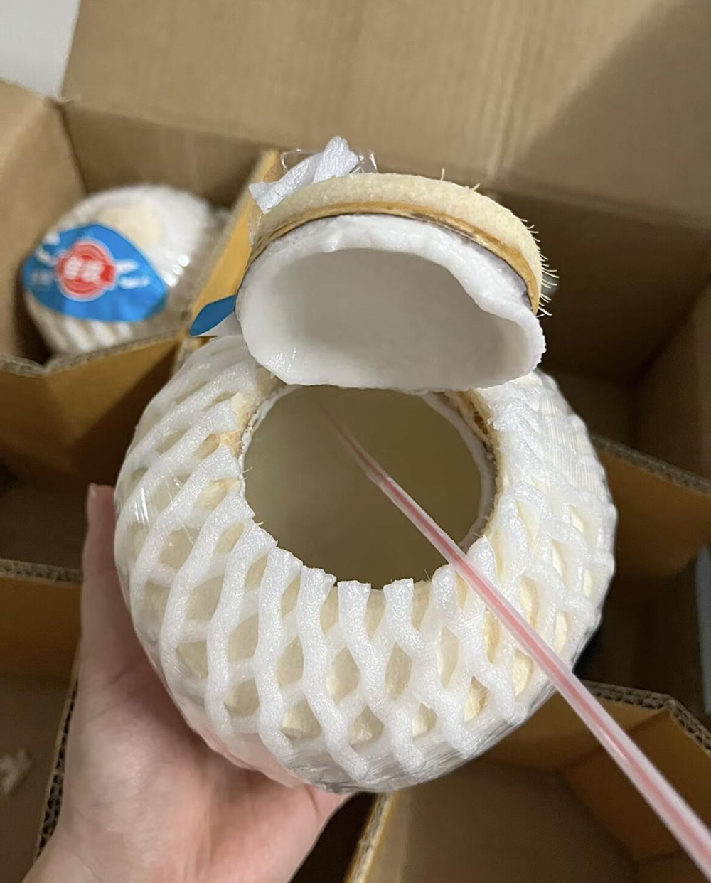 泰国🇹🇭佳农进口香水椰青🥥 天气闷热需要 配图2