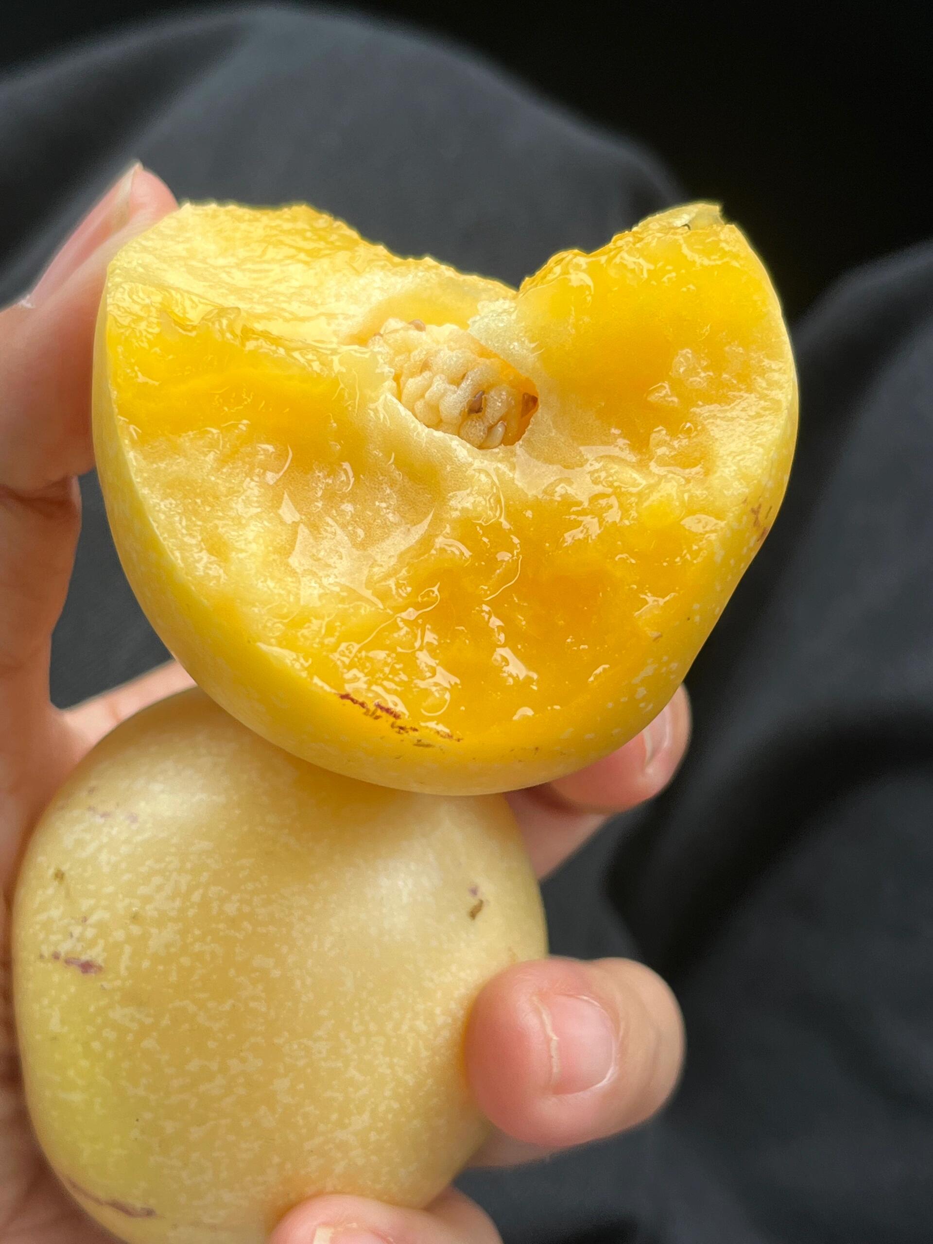 🔆树上熟人参果💛 水果中的“灌汤包”🤤， 配图2