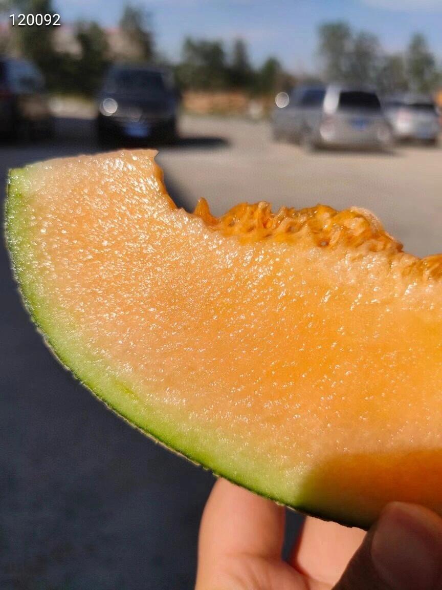 🍈海南西州蜜瓜25号，脆脆甜甜🍭 瓜瓤上 配图1