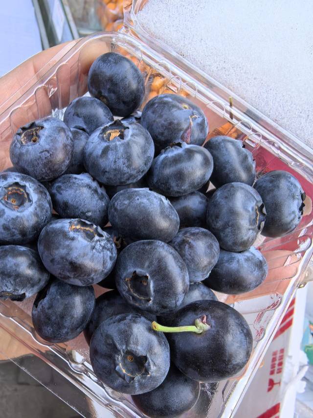 ✨宝子们💕必吃！酸甜可口的蓝莓 🌞阳光充 配图2