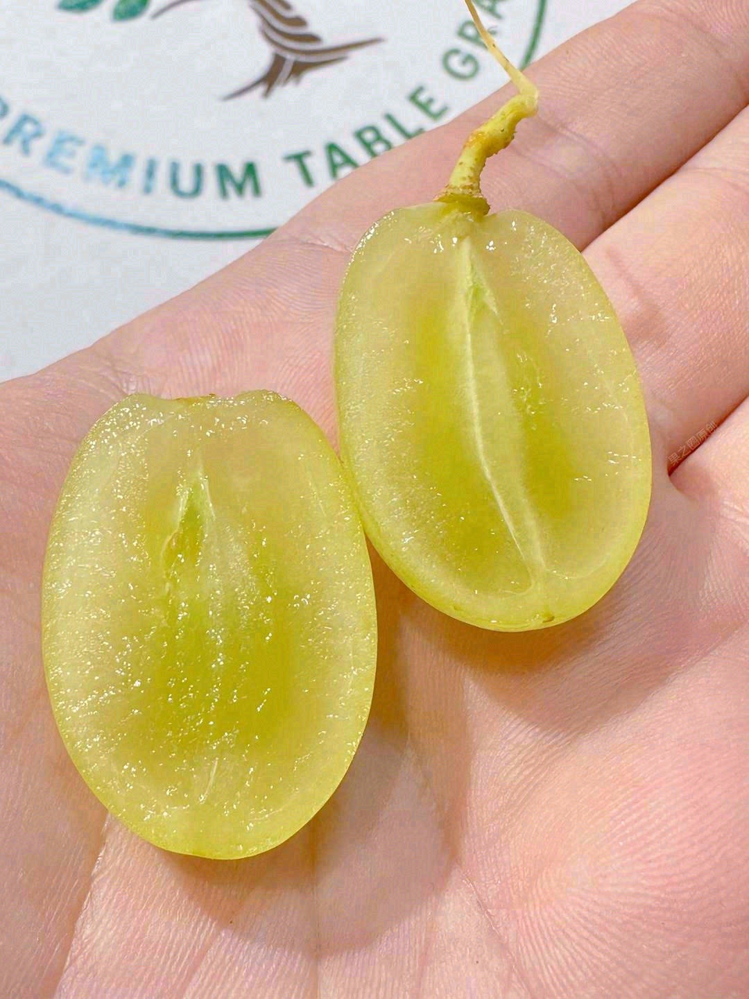 【甜地球青提】特级大果🍇 无籽又皮薄，清 配图1