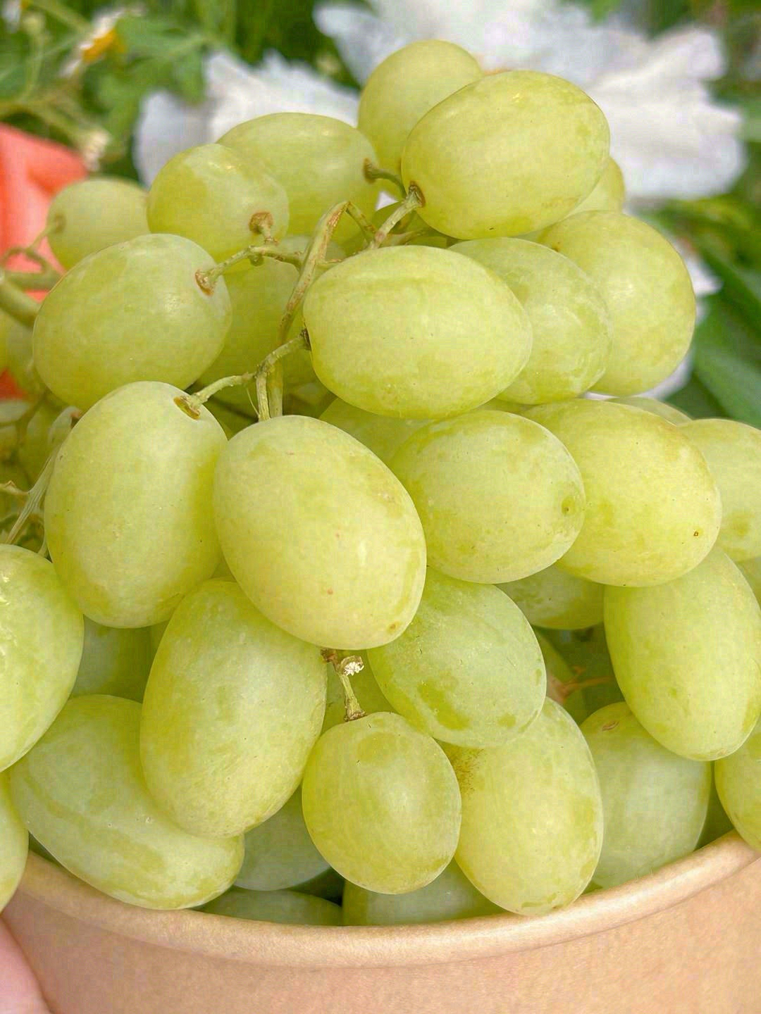【甜地球青提】特级大果🍇 无籽又皮薄，清 配图3