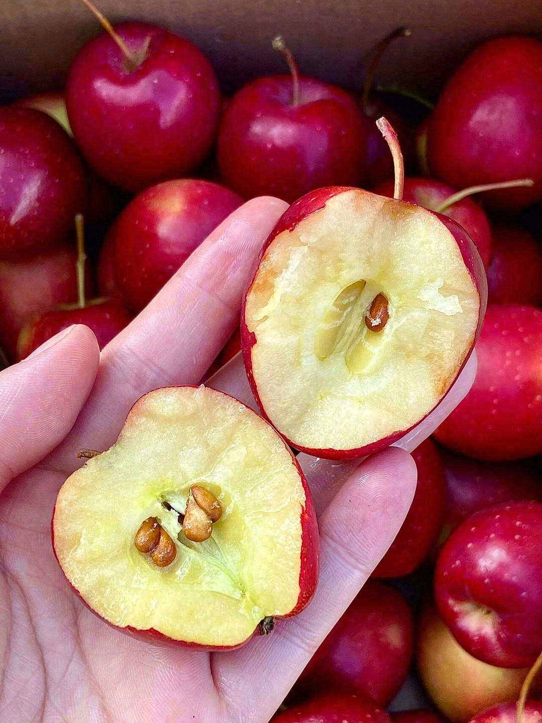 闻着清香，吃后留香～🍎 轻轻咬一口，酸酸 配图2